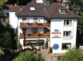 Hotel Central, hotel en Bad Sooden-Allendorf