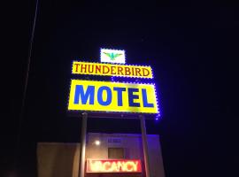 Thunderbird Motel Las Vegas/ New Mexico, отель в Лас-Вегасе