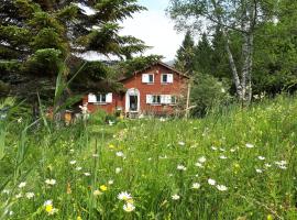 Chalet Chic, hotel v destinaci Wildhaus