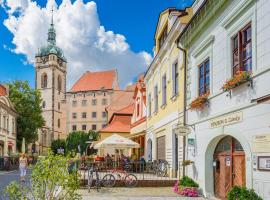 Penzion U Zámku, viešbutis mieste Malnykas