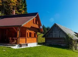 Holiday house Pokrovec - Bohinj