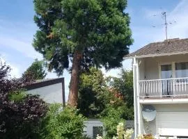 Ferienwohnung Schlossblick