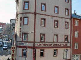 Hekimoğlu Hotel, hôtel à Erzurum