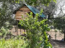 Habarana Eco Treehouse