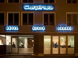 Hotel Carpinus