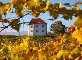 Wine Grower's Mansion Zlati Gric, hotel in Slovenske Konjice