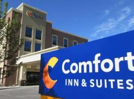 Comfort Inn & Suites Boise Airport