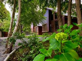 Cabañas Los Laureles - Lican Ray, hotel u gradu Licanray