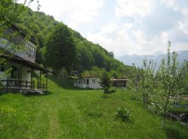 Bungalows Zdravets, maison d'hôtes à Berkovitsa