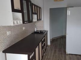 Apartament Mioritza 2A, hotel v destinácii Horezu