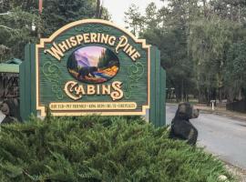 Whispering Pine Cabins、ルイドソのコテージ