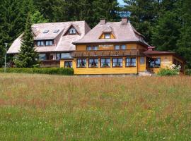 Hotel Restaurant Peterle, hotel sa Feldberg