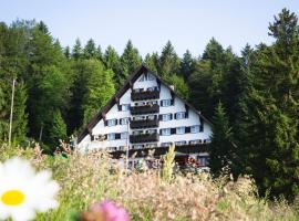 Hotel Tisa Pohorje, отель в городе Хочко Погорье