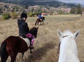 Dona Guest House - Horse Riding โรงแรมในโคปริฟชทิทซา