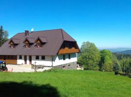 König-in, hotel sa Hojsova Stráž