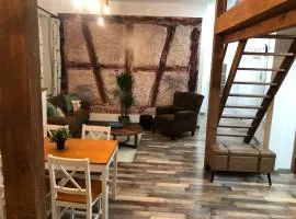 Dunakavics Boutique Apartman Szentendre