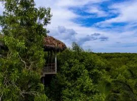 Mermaid Cabana and Tree Houses