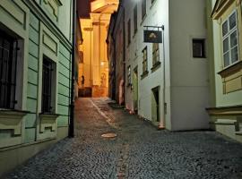 Hotel Penzion Na Hradě, hotelli kohteessa Olomouc