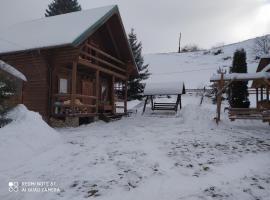 ЕКО-котедж, отель в Верховине