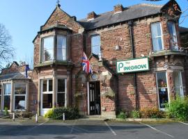 Pinegrove Hotel – hotel w mieście Carlisle