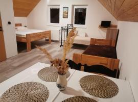 Apartmán U Brabců: Prachatice şehrinde bir otel