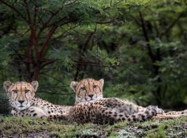 Cheetah Ridge Lodge, lodge sa Nambiti Game Reserve