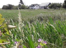 in de Boomgaard, hotelli kohteessa Burgh Haamstede