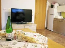 Apartma Pegaz