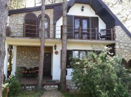 Guesthouse Bajka, отель в Винцах