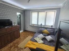 Apartament Park Saski