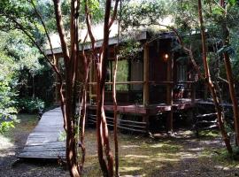 Cabaña en Río Puelo, hotell i Puelo