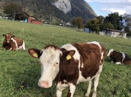 STUDIO THE COW, hôtel à Kandersteg