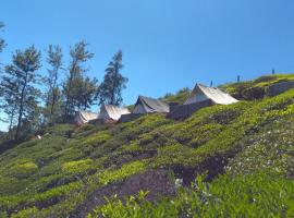 Janardan Tea Campsite Ooty, מקום אירוח ביתי באוטי