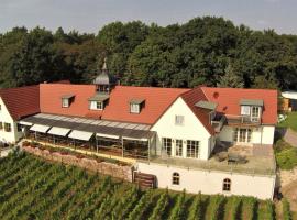 Pension Bella Vista - Winzerhof Golk, hotel en Meissen