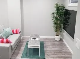 Luxurious 2 bedroom basement suite