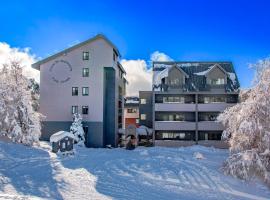 Snow Ski Apartments 40، فندق في فولز كريك