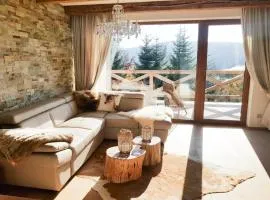 Chalet Rebeca 12 beds Donovaly