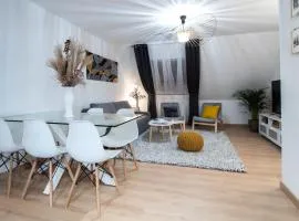 Superbe appartement au coeur du Colmar