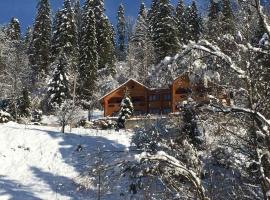 Privatna Sadiba Chalet, hotell i Oryavchyk