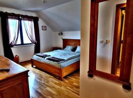 Pensiunea SAFIR 2, hotel en Arad