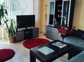 Pleven Sunny Apartment