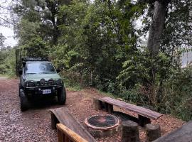 La Bromelia/Cabaña de Montaña, Cerro de la Muerte., hotell i Cartago