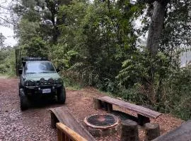 La Bromelia/Cabaña de Montaña, Cerro de la Muerte.