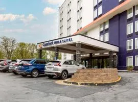 Comfort Inn & Suites Alexandria West