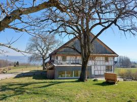 Historisches Doppel - Riegelbauernhaus, cabaña o casa de campo en Langnau am Albis