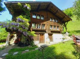 Chalet Elza, horská chata v destinácii Lauterbrunnen