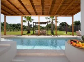 Andresita`s Palace State-of-the-art Tropical Villa