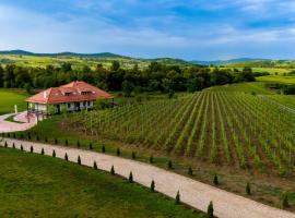 Pensiunea Sonnenhof, hotel din Sighişoara