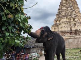 TEMPLE VIEW GUEST HOUSE, hotel u gradu Hampi