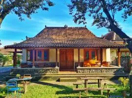 Omah Pitoe Yogya Homestay